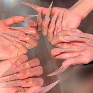 WestEmpress | Extra Long Claw Nails, handmade, acrylic nails, eagle nails, claw press on nails, anime nails